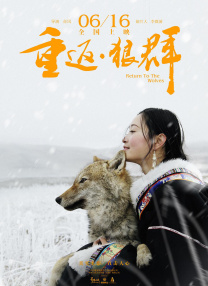 完美恋爱关系